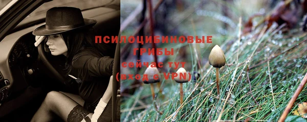 СК Абинск