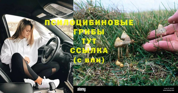 СК Абинск