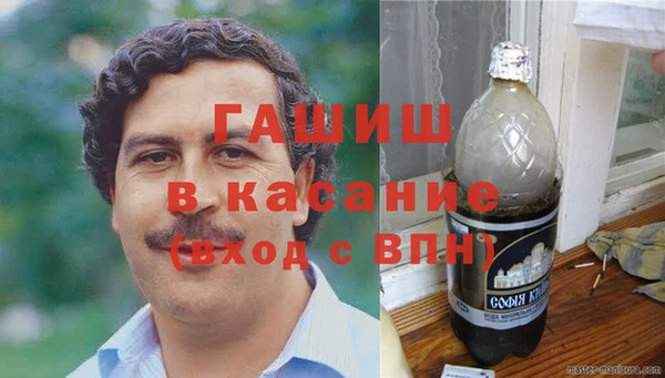 мет Алексин
