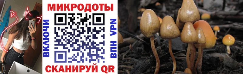 Галлюциногенные грибы Magic Shrooms  Ростов-на-Дону 